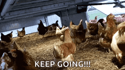 a bunch of chickens in a coop with the words " keep going " above them