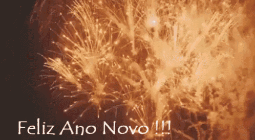 a fireworks display with the words feliz ano novo !!!