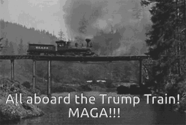 Trump Train Maga Wreck Crash All Aboard GIF