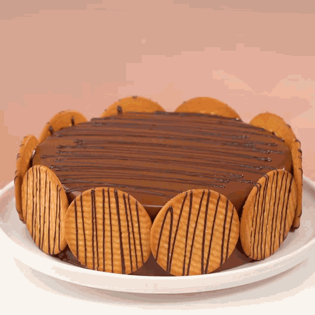a white plate topped with a chocolate cake covered in cookies