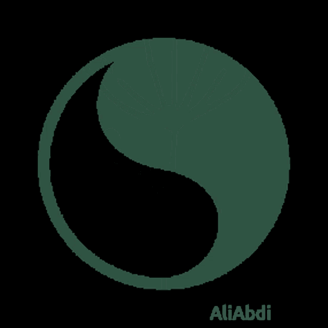 a black background with a green circle and the name aliabdi on it
