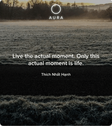a picture of a field with a quote from thích nhật hanh