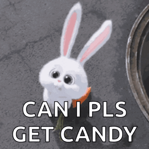 a picture of a rabbit with a carrot and the words can i pls get candy below it