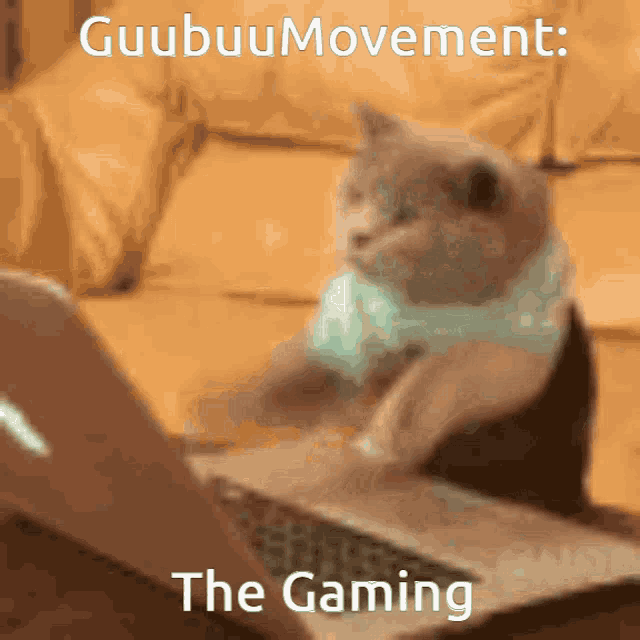 a cat sitting in front of a laptop with the words " the gaming " written on the bottom