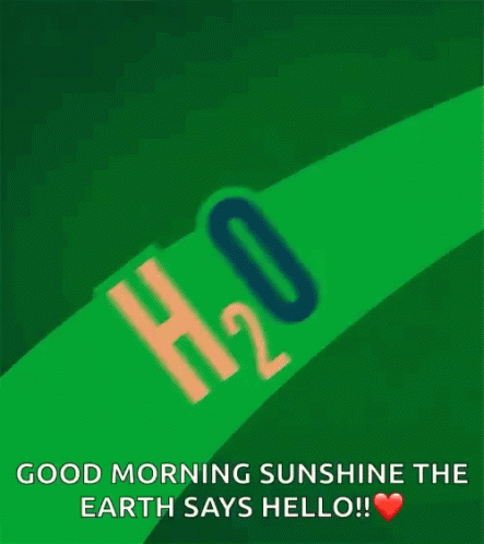 Good Morning Sunshine Photosynthesis GIF - Good Morning Sunshine Photosynthesis Oxygen GIFs