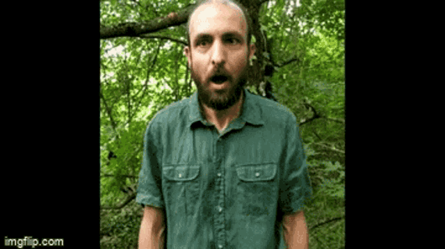 a man with a beard and a green shirt is standing in the woods .