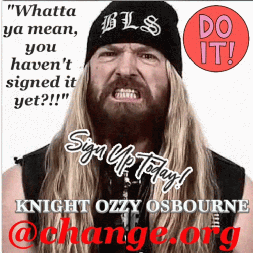 Knight Ozzy The Knighthood Of Ozz GIF - Knight Ozzy The Knighthood Of Ozz Ozzy GIFs