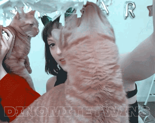 a picture of a girl and two cats with the words " dinomitetwins " on the bottom right