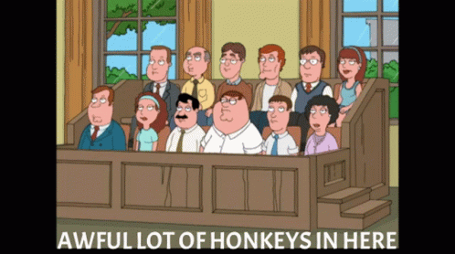 Familyguy Peter Griffin GIF - Familyguy Peter Griffin Jury GIFs
