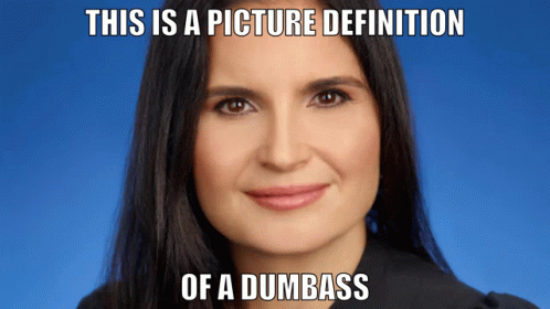 Aileen Canon Dumbass GIF - Aileen Canon Dumbass Trump GIFs