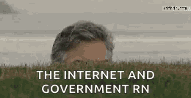 a man peeking out from behind a grassy hill with the words `` the internet and government rn '' above him .