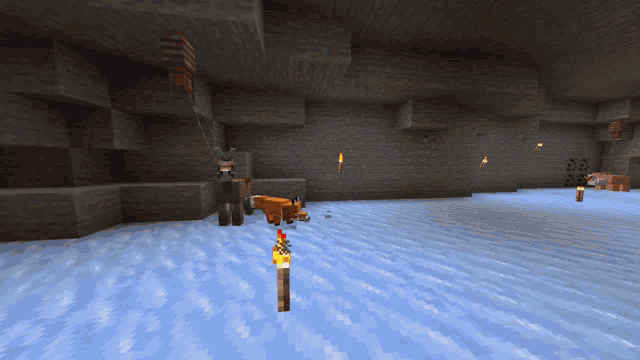 a fox standing in a cave with a torch