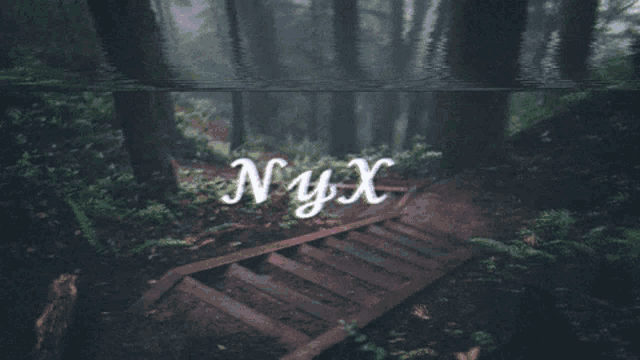 a picture of a forest with the words nyx written on it