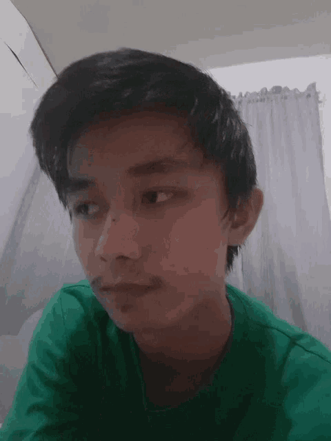 a young man in a green shirt looks at the camera with a serious look on his face