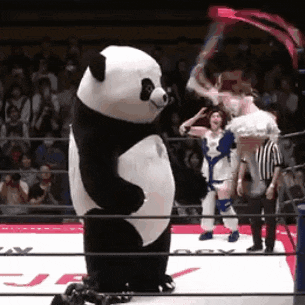 a panda mascot is in a wrestling ring