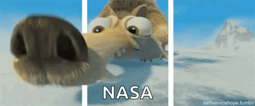 Sniff Nose GIF - Sniff Nose Iceage GIFs