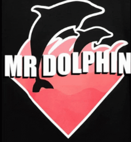 Mr Dolphin GIF - Mr Dolphin GIFs