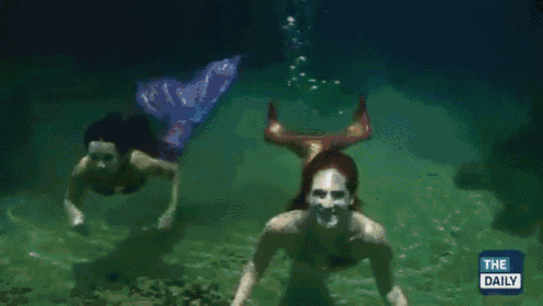 Real Mermaids GIF - Swimming Underwater Mermaids GIFs