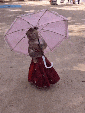 a monkey wearing a red dress and holding an umbrella