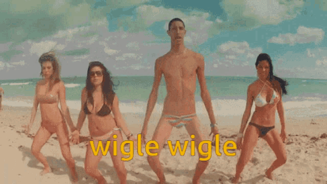 a group of people dancing on a beach with the words wigle wigle