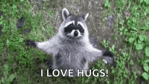 a raccoon is standing in the grass with its arms outstretched and saying `` i love hugs ! ''