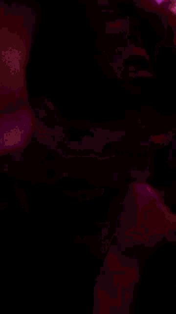 Dollobier Daanbier GIF