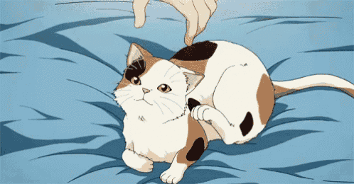 a calico cat is laying on a bed and being petted