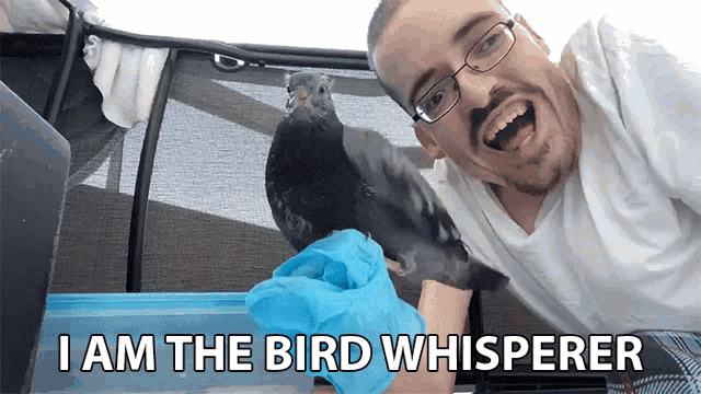 I Am The Bird Whisperer Ricky Berwick GIF - I Am The Bird Whisperer Ricky Berwick Ricky Berwick Vlog GIFs