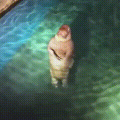 a person is standing in a swimming pool with their head out of the water