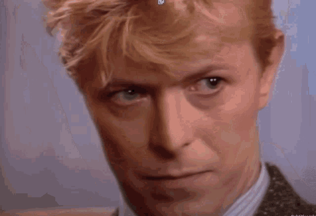 David Bowie Bowie GIF - David Bowie Bowie What GIFs