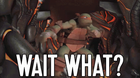 Wait What? GIF - Tmnt Wait What Confused GIFs