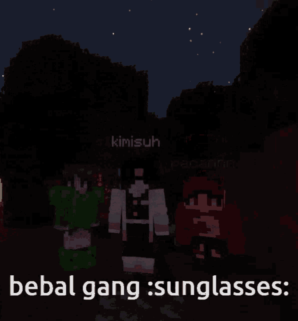 a screenshot of a video game with the words " bebal gang sunglasses " on the bottom