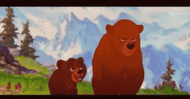 two bears are standing next to each other in a field