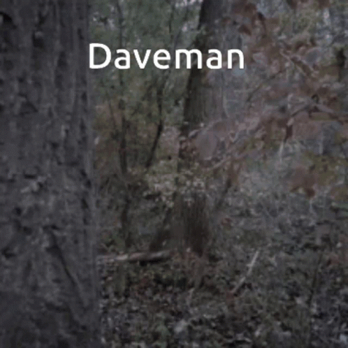 Dave Dave Knees GIF - Dave Dave Knees Daveman GIFs