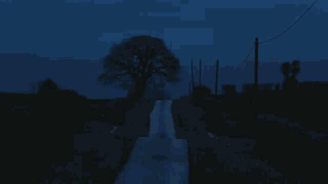 a tree is silhouetted against a dark blue sky