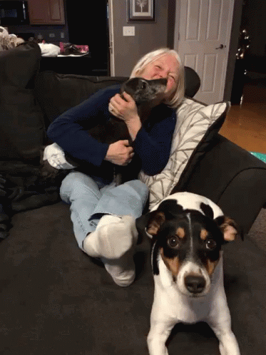 Dogs Cuddle GIF - Dogs Cuddle Love GIFs