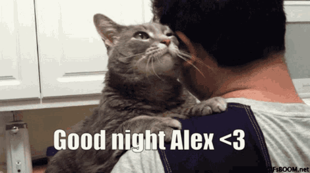 a man holding a cat with the words good night alex < 3