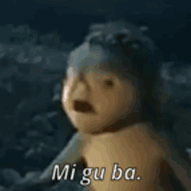 a close up of a cartoon character with the words `` mi gu ba '' written on the bottom .