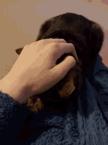 a close up of a person holding a black cat
