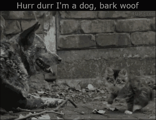 Hurr Durr GIF - Hurr Durr Dog GIFs