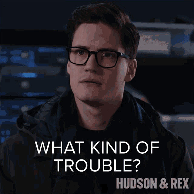 What Kind Of Trouble Jesse Mills GIF - What Kind Of Trouble Jesse Mills Hudson And Rex GIFs