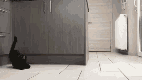 a black cat is playing with a toy in a kitchen next to a cabinet .