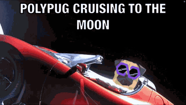 a pug in a red car with the words polypug cruising to the moon on the bottom