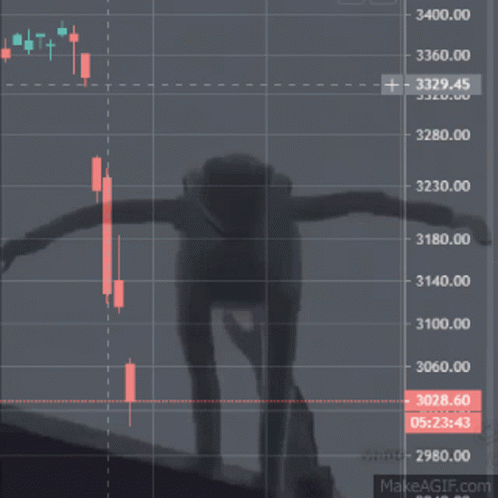 Wsb Market Crash GIF