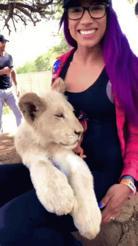 Sasha Banks Wow GIF - Sasha Banks Wow Lion Cub GIFs