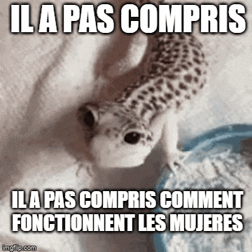 a lizard is eating something from a bowl with a caption in french .