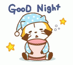 Good Night Raccoon GIF - Good Night Raccoon Sticker GIFs