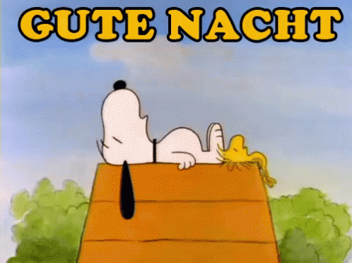 Gute Nacht Snoopy - Gute Nacht GIF - Gute Nacht Gute Nacht Snoopy Schlafen GIFs