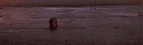 a dog is running on the ground in the dark