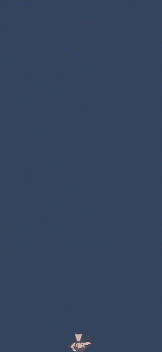 Magikarp Pokemon GIF